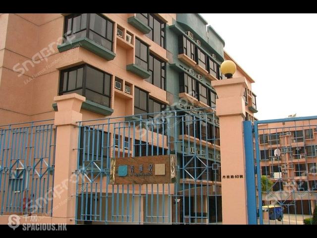 Hung Shui Kiu - Meadowlands 01