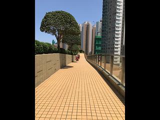 Sai Wan Ho - Grand Promenade 10