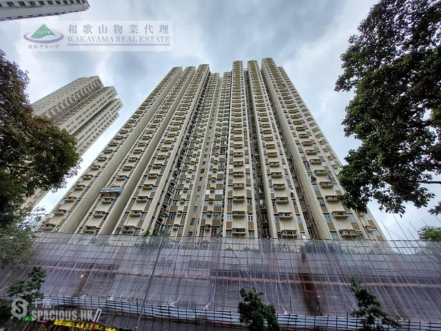 大埔 - 大埔广场 01