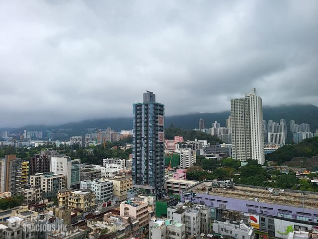 Kowloon City - Zebrano 01