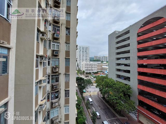 Tai Po - Tai Po Plaza 01