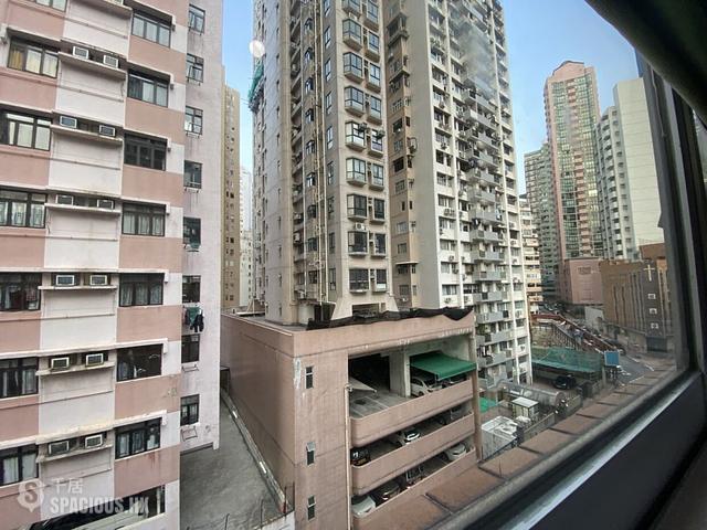 跑马地 - 凤辉台1号 01