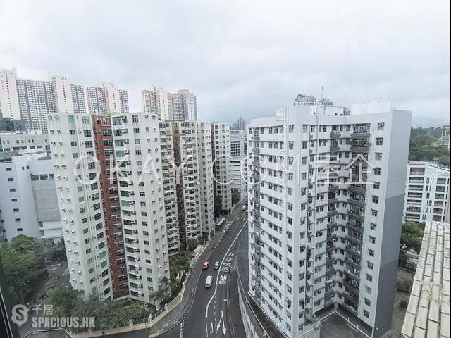 Ho Man Tin - Dragon View 01