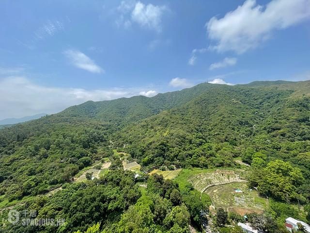 大埔 - 嵐山 01