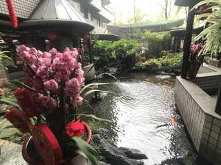 信義區 - 110台灣台北市信義區逸仙路XX號 05