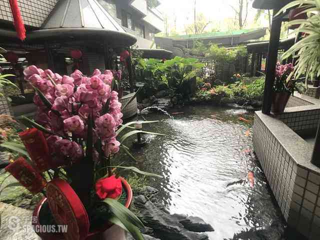 Xinyi - 110, Taiwan, Taipei City, Xinyi District, 逸仙路XX號 05