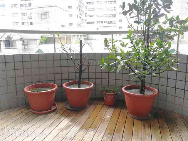 Daan - 106, Taiwan, Taipei City, Da’an District, 安和路二段181巷X號 09