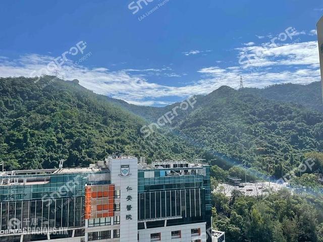 大围 - 嘉顺苑 01