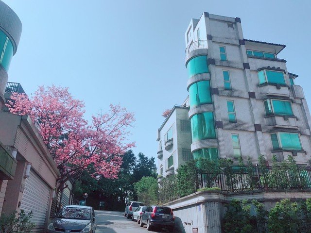 Xinyi - 110, Taiwan, Taipei City, Xinyi District, 祥雲街XX號 01