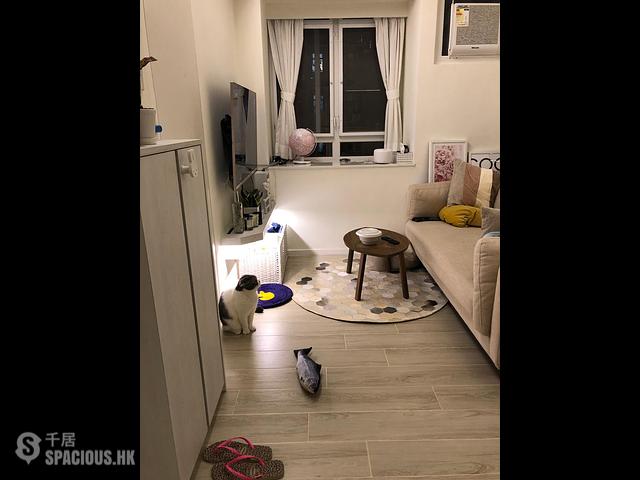 Cheung Sha Wan - Shun Fai Building 01