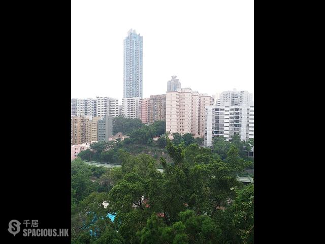 油麻地 - 京士柏山 01