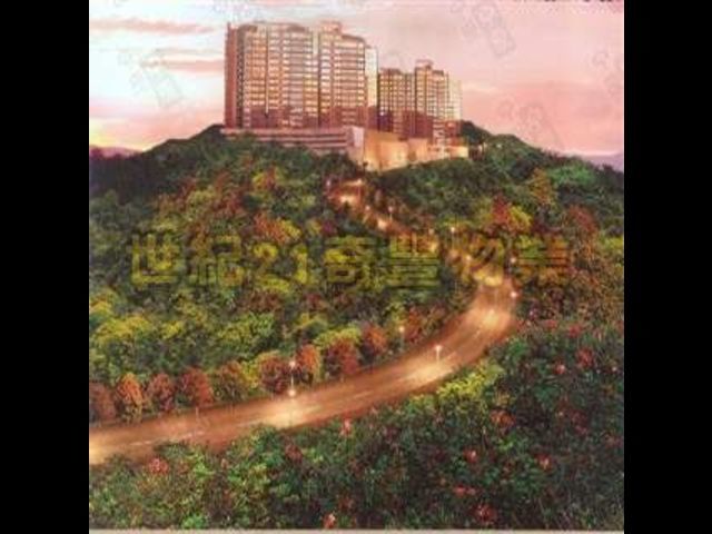 Tai Wai - Peak One 01