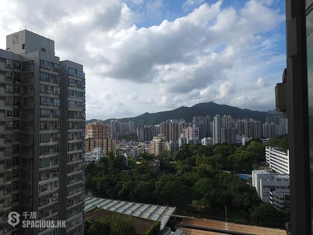 Tai Po - Uptown Plaza 01