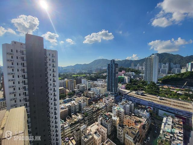 Kowloon City - Zebrano 01
