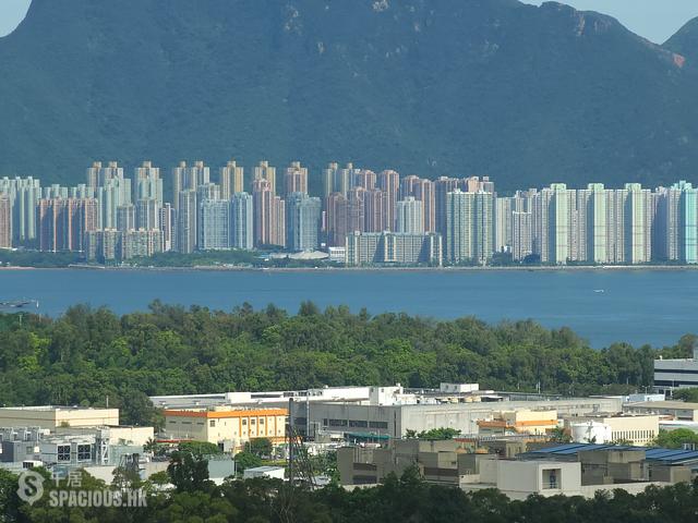 Tai Po - Mont Vert 01