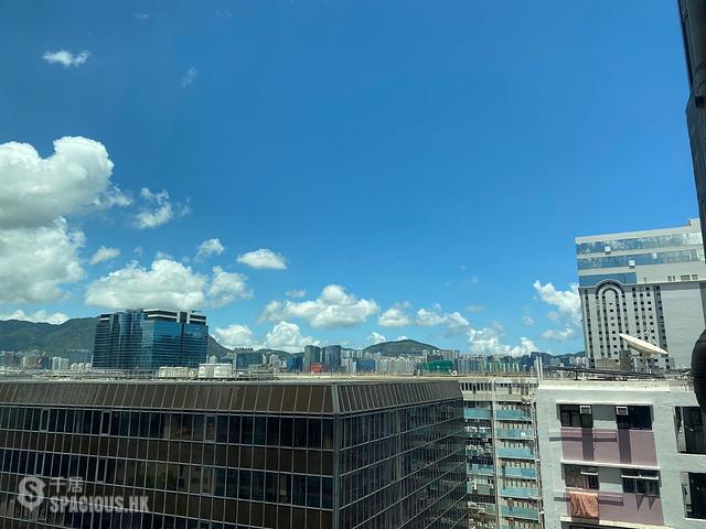 Hung Hom - Mangrove 01