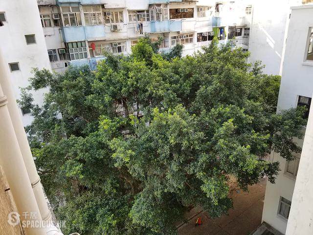 North Point - Ming Yuen Mansions Phase 3 01