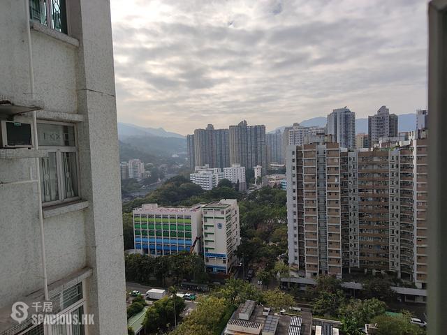 Tai Po - Fortune Plaza 01