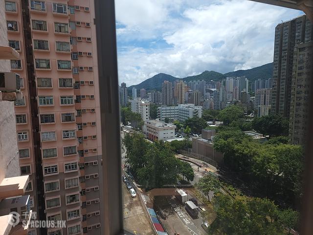 Tai Po - Greenery Plaza 01