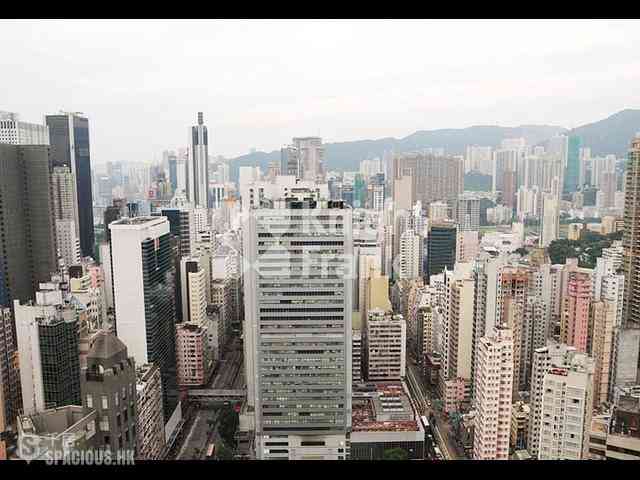 湾仔 - York Place 13