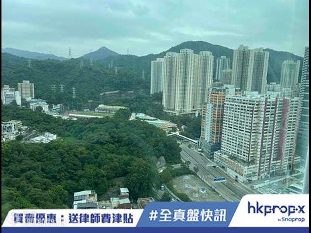 葵涌 - 升柏山 01