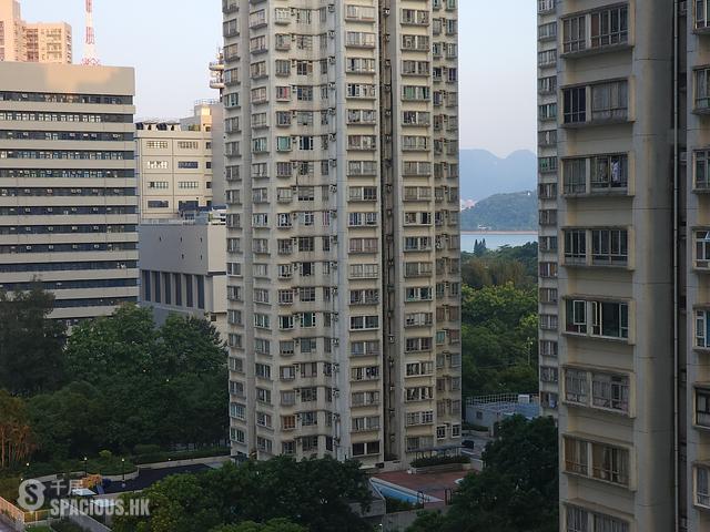Tai Po - Tai Po Plaza 01