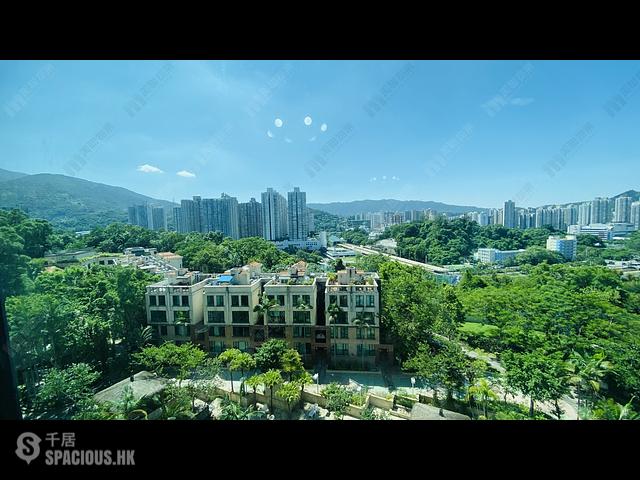 Tai Po - The Paragon 01