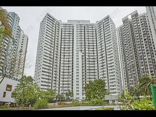 Yau Ma Tei - Prosperous Garden 06