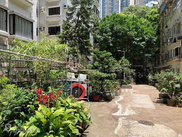 Kennedy Town - Tai Pak Court 01