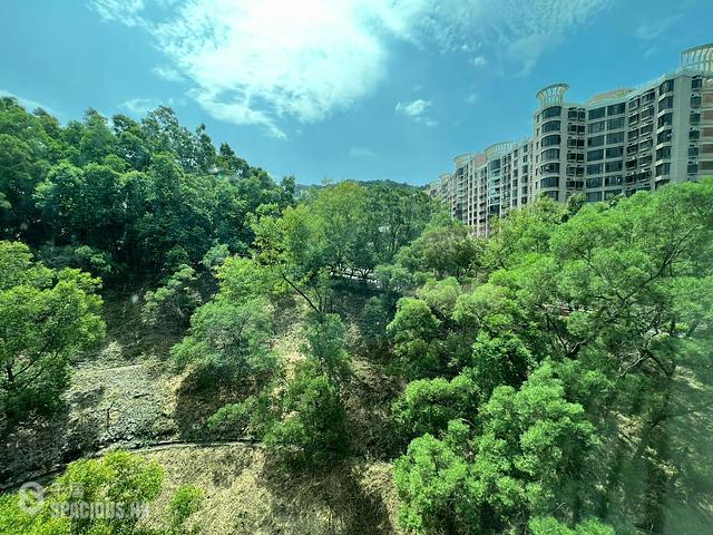 Tai Po - The Paragon 01
