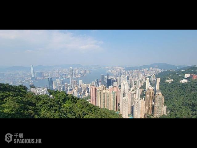 The Peak - The Peak 01