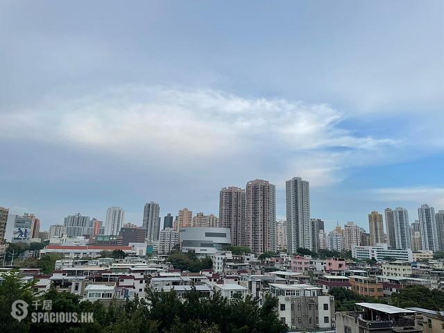Yuen Long - Atrium House 01