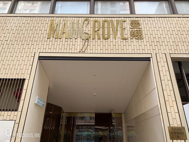Hung Hom - Mangrove 01