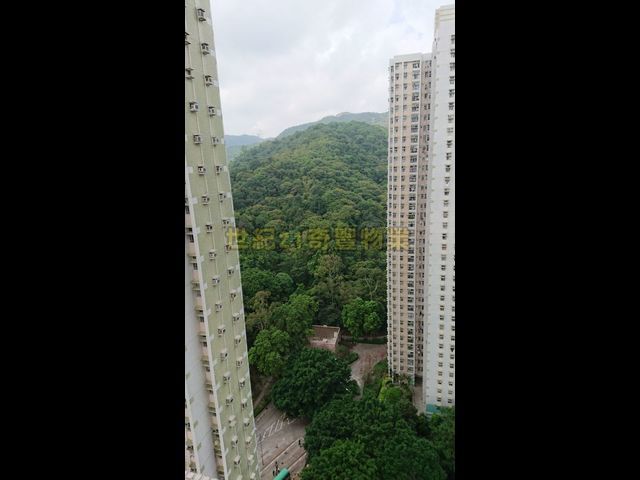 大圍 - 美松苑 01
