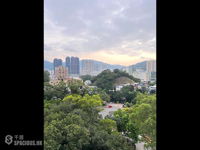 Tai Wai - Pristine Villa 01